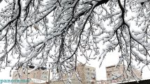 Cold, snowy conditions to persist across Armenia