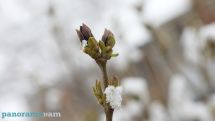 Daytime temperatures set to rise by 6-10 degrees in Armenia