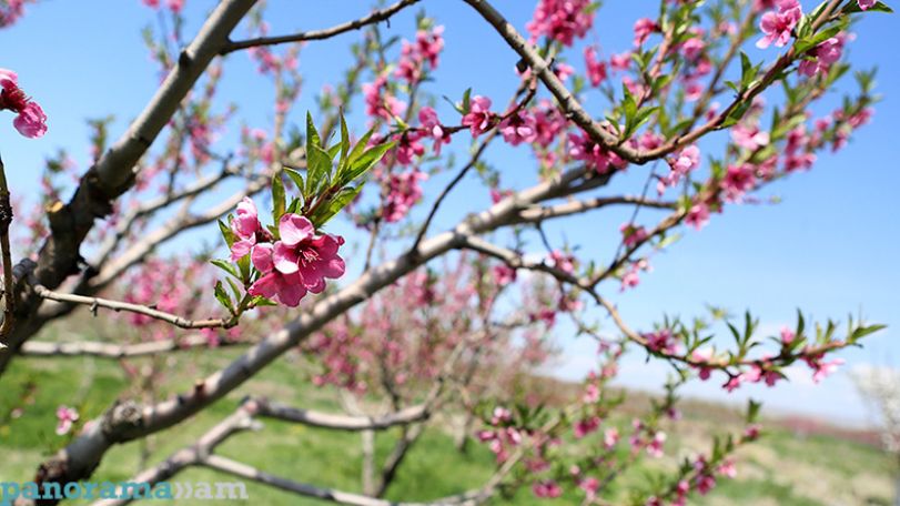 Temperatures set to rise up to 21C in Armenia