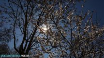 Temperatures set to rise by 13-16 degrees in Armenia