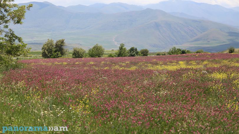 Temperatures to soar across Armenia