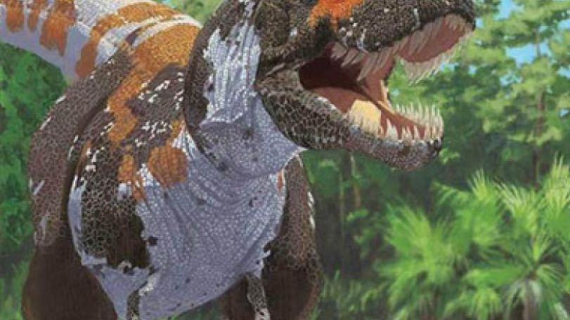 Dinosaurs 'neither warm nor cold blooded'