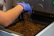 Tobacco production up in Armenia