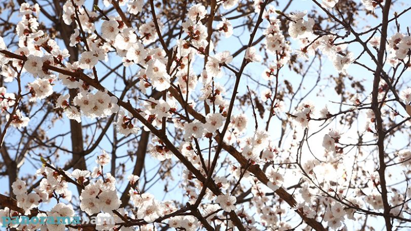 Temperatures set to rise by 2-4 degrees in Armenia