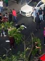 Самсонян: Ради того, чтобы кровопийца добрался домой, совершили наезд на беременную женщину