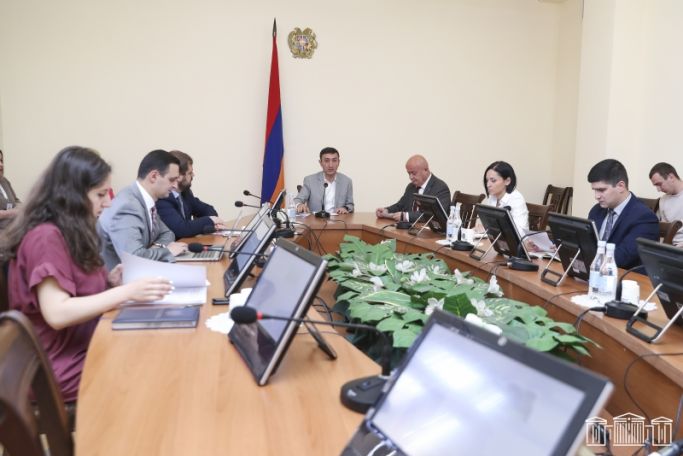 Օրենքի նախագծի ընդունման դեպքում բյուջեի մուտքերը կպակասեն 106 մլն դրամով. Անի Իսպիրյան
