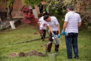 Yerevan Brandy Company initiated tree planting project in the frames of 135th anniversary of brandy making in Armenia