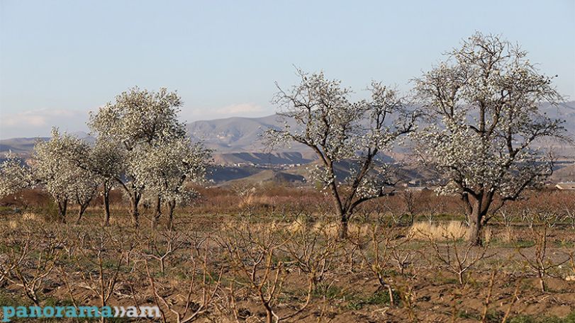 Temperatures set to rise in Armenia from May 3