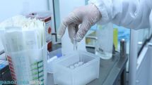 Armenia records 22 new Covid cases in six days