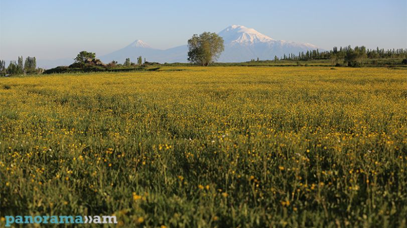 Temperatures set to rise across Armenia