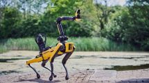 Robot Dog Olympics takes place in Bristol