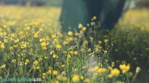 Temperatures set to drop across Armenia on May 20