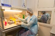Россия усилила меры контроля на границе  для недопущения завоза оспы обезьян