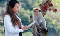 Australia records first monkeypox case