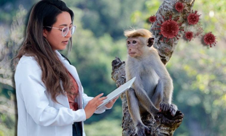 Australia records first monkeypox case
