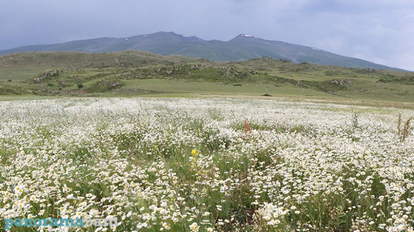 Սպասվում է օդի ջերմաստիճանի կտրուկ նվազում