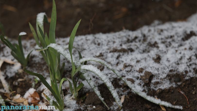 Temperatures to drop below zero in some parts of Armenia
