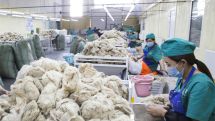 Մոնղոլիան կմեծացնի ավանդական ապրանքների մատակարարումը Ռուսաստան