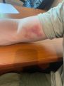 Александр Кочубаев: Сегодня полицейские вновь отличились варварствами