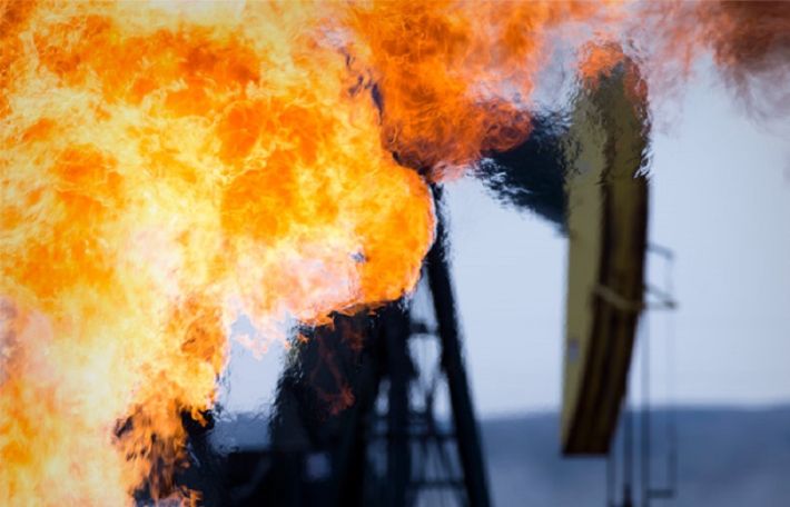 Цены на нефть стабилизировались после обвала