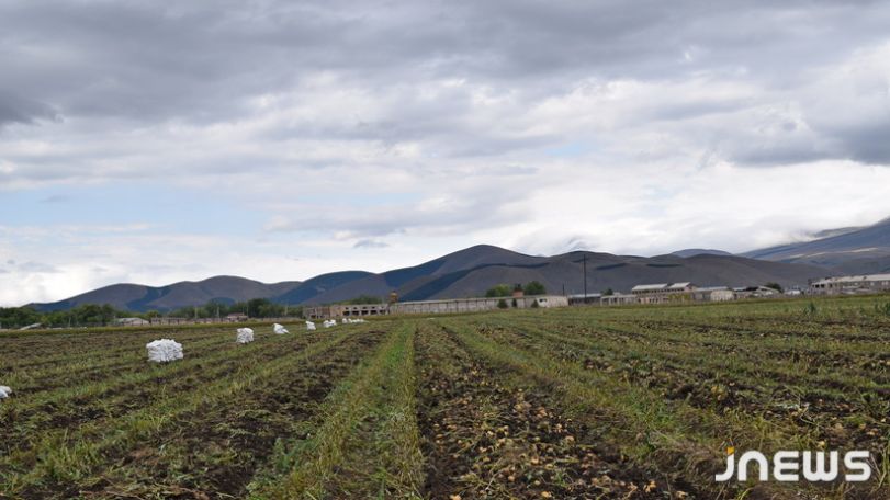 Ախալքալաքում կարկուտը փչացրել է բերքը