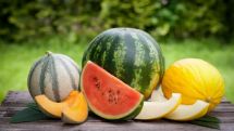 Диетолог рассказала о вреде некоторых популярных летних продуктов для фигуры