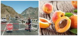 Պետությունը պարտավոր է քայլեր ձեռնարկել գյուղատնտեսությունում հերթական ցնցումը թույլ չտալու համար. տնտեսագետ