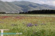 Heatwave to persist in Armenia