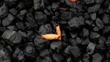 Germany to stop buying Russian coal on Aug 1, oil on Dec 31, official says