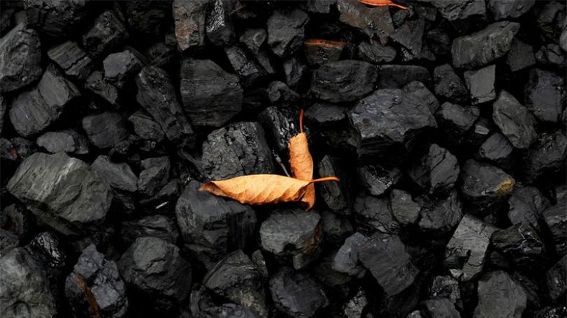 Germany to stop buying Russian coal on Aug 1, oil on Dec 31, official says