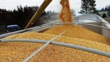 Russian diplomat warns against attempts to politicize Ukrainian grain exports