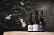 Ակբա Լիզինգ. «WineWorks». հայկական գինեգործության նոր շունչը