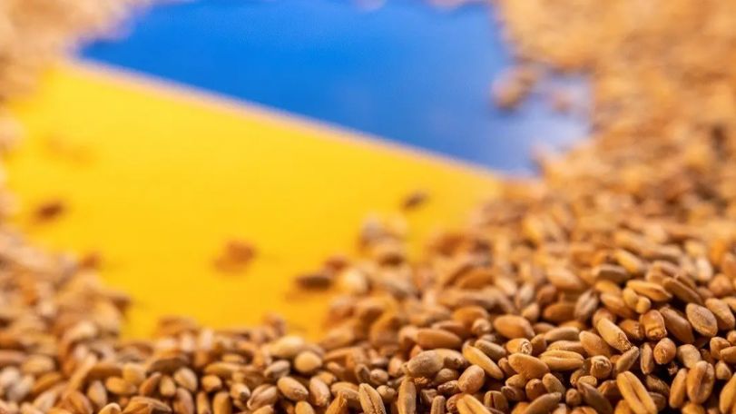 Ukraine has grain stock worth about $10 billion, Zelensky says