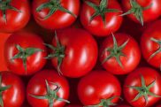 Վրաստանում լոլիկի գինը բարձրացել է 170%-ով