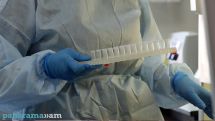ВОЗ: За последние четыре недели число смертей от COVID-19 выросло на 35%