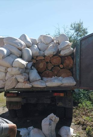 Թթուջուր գյուղում հայտնաբերվել է ապօրինի տեղափոխվող փայտանյութ