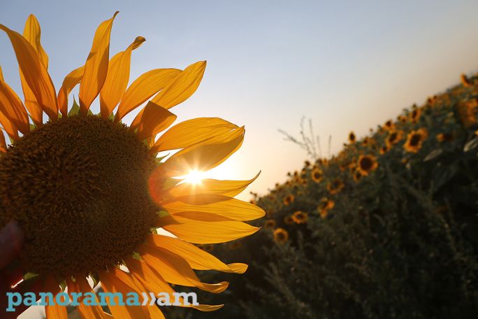 Heatwave to persist in Armenia