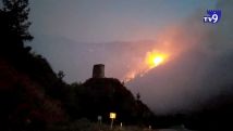 Բորջոմիում հրդեհի բոլոր օջախները մարվել են