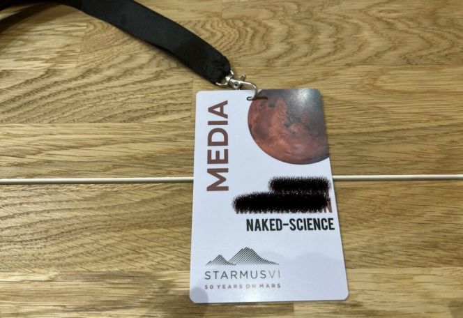 На открытии фестиваля STARMUS сотрудники охраны Никола Пашиняна применили физическую силу в отношении журналиста