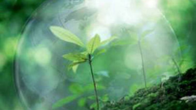 Today is World Environment Day