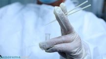 Armenia records 910 new Covid cases in one week