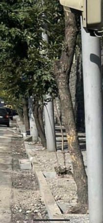 Քրիստինա Վարդանյան. Հաջորդ ամառ, երբ բույսերը զանգվածային կչորանան, նորից ժավելով տեռորիզմից կխոսեք