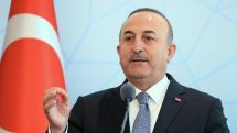 Cavusoglu tells Turks in France to 'react against' Armenian Diaspora