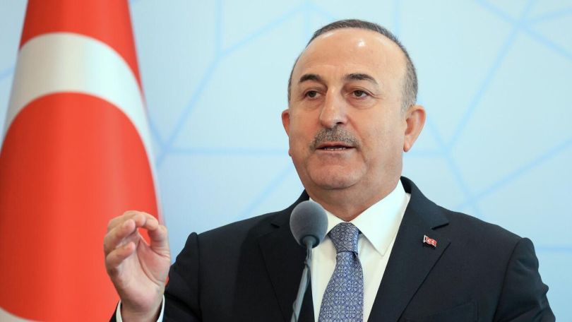 Cavusoglu tells Turks in France to 'react against' Armenian Diaspora