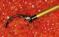 What will Armenia do with 200 kg of caviar sent back from Georgia?