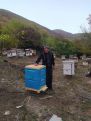 Հացիում պայմաններ են ստեղծվել մեղվապահությամբ ու ջերմատնային տնտեսությամբ զբաղվելու համար