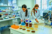 YSU biologists make organic fertilizer from coffee waste