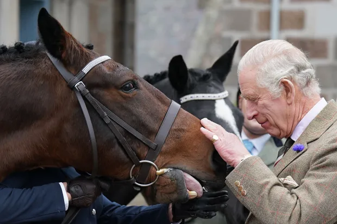 King Charles earns over £1million selling off 14 of Queen’s beloved horses