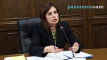 Ունենք H1N1-ով հիվանդ մեկ պացիենտ. Ավանեսյան