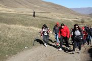 Viva-MTS: the program to grow forest on the bald mountain kicks off
